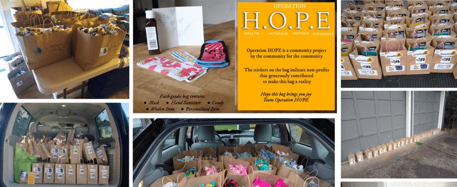 Cover image for Goodie bags for Shelters and Care Facilities